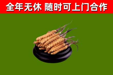 鼎城区烟酒回收冬虫夏草.jpg